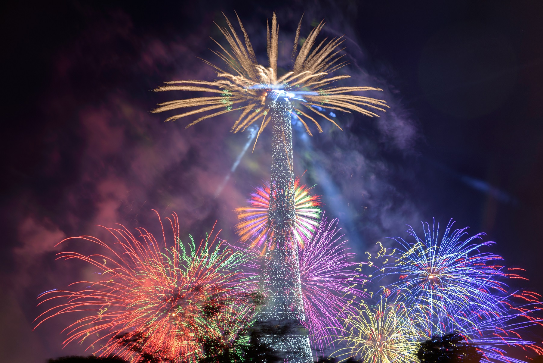 Paris New Year fireworks