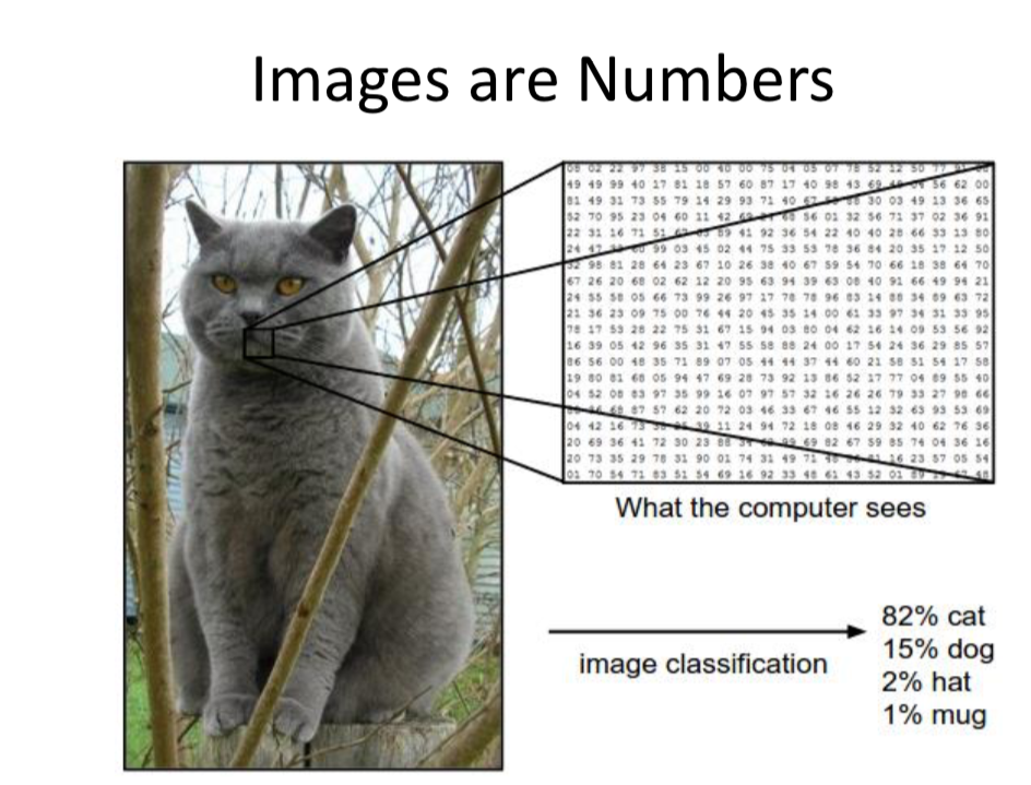 Human seeing vs. computer vision